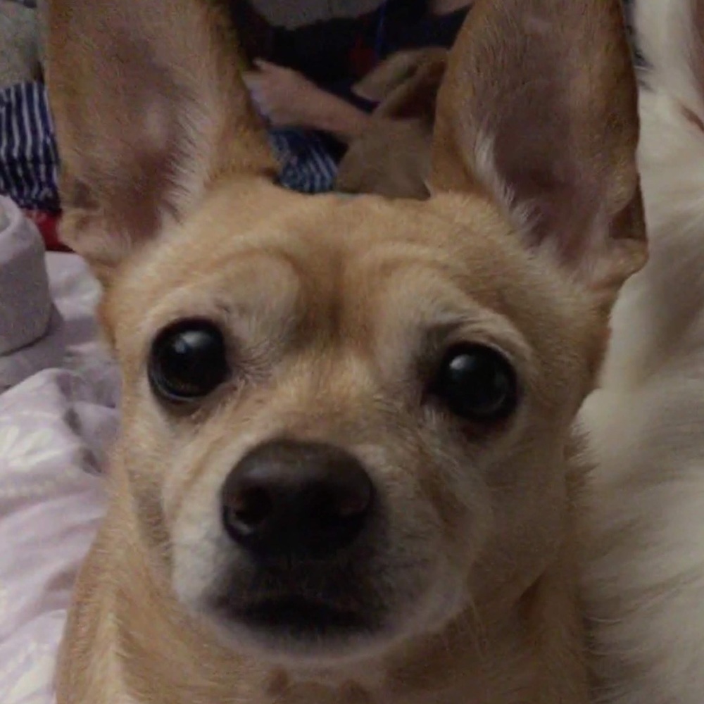 Meet your Posher, Mari